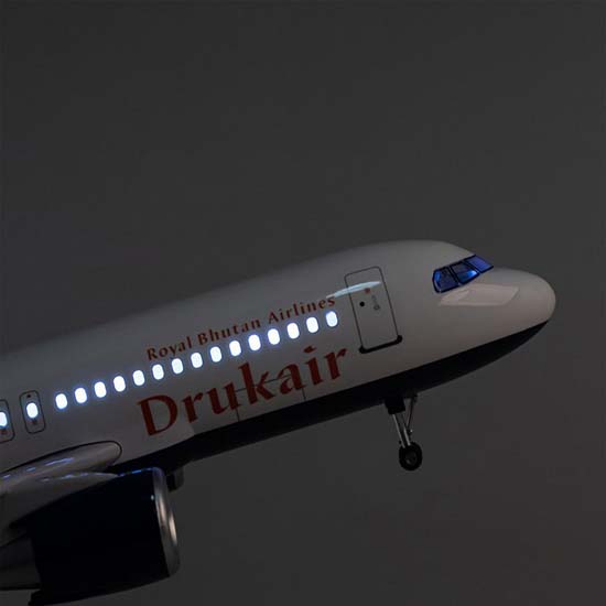 Picture of Drukair 1:80 Airplane Model
