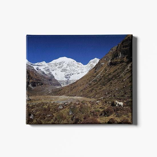 Picture of Bhutan Himalaya Day Canvas Print