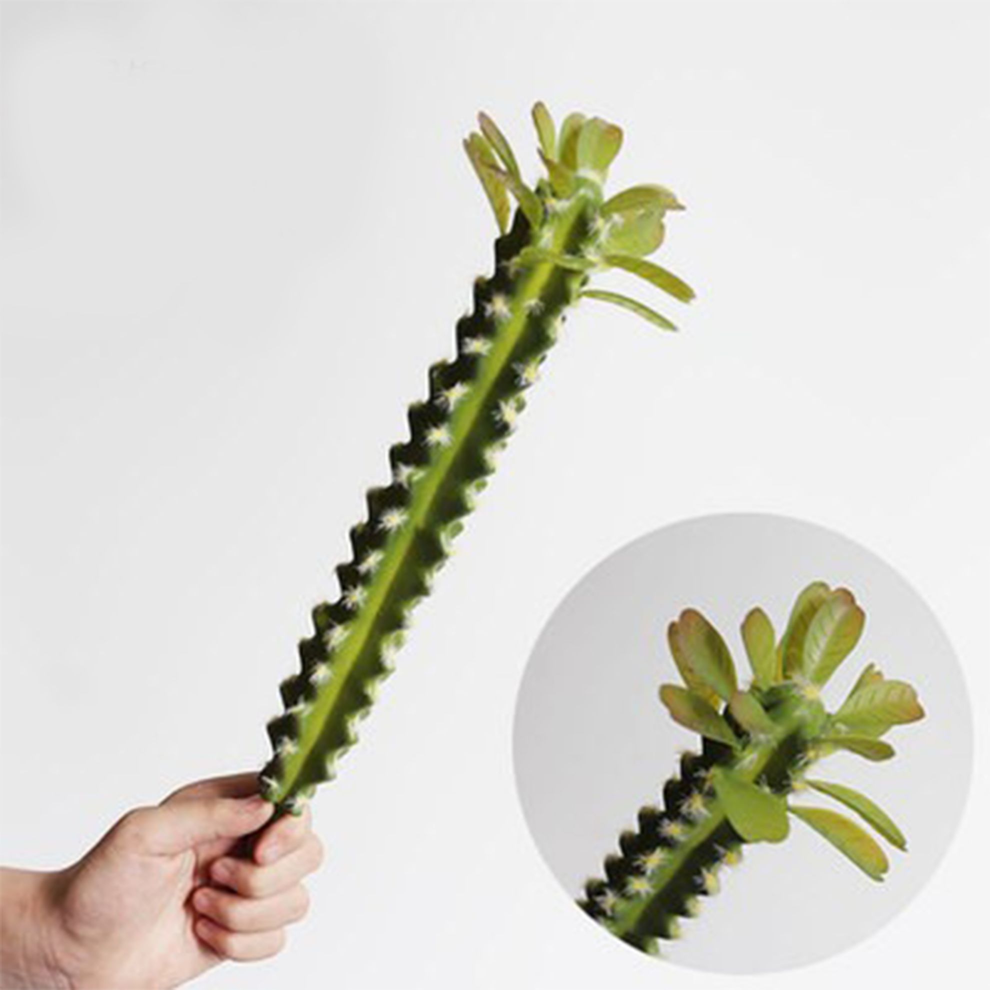 Picture of Faux Sawtooth Cactus Artificial Plant