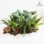 Picture of  Faux Bundle Artificial Plant