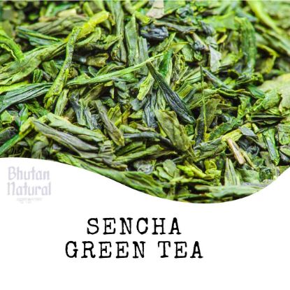 Picture of Sencha Green Tea